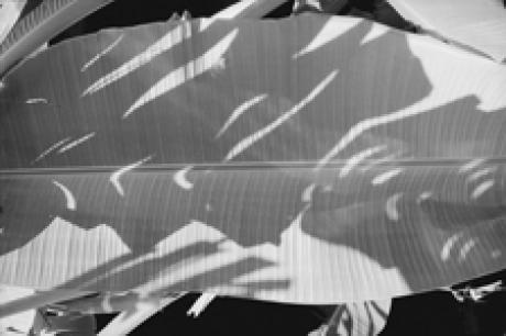 Shadow III - Udo Klein - auf - Array - Shadow III - Udo Klein - auf - Array -