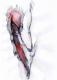 Phallus - Hajo Pitzner - Tinte-Tusche auf - - Phallus - Hajo Pitzner - Tinte-Tusche auf - -