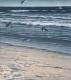 Strand Strand