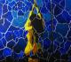 2009/3 - Sandra Gloddek - Acryl auf Leinwand - Menschen-Stimmungen - 2009/3 - Sandra Gloddek - Acryl auf Leinwand - Menschen-Stimmungen -