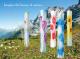 Several Beams (Stele) with alpine flowers - Picchio Dieter Specht - Holz auf - - Several Beams (Stele) with alpine flowers - Picchio Dieter Specht - Holz auf - -