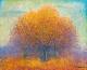 ---Herbstimpressi - Albi Art Issinov - - auf - Wald - ---Herbstimpressi - Albi Art Issinov - - auf - Wald -
