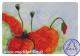 Mohn (2010) - Angelika Hiller - Aquarell auf Papier - Sonstiges-Mohn - Mohn (2010) - Angelika Hiller - Aquarell auf Papier - Sonstiges-Mohn -