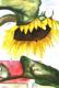 Sunflower vorm Haus -Lutz Erler- - Lutz Erler - Aquarell auf Papier - Sonstiges - Sunflower vorm Haus -Lutz Erler- - Lutz Erler - Aquarell auf Papier - Sonstiges -