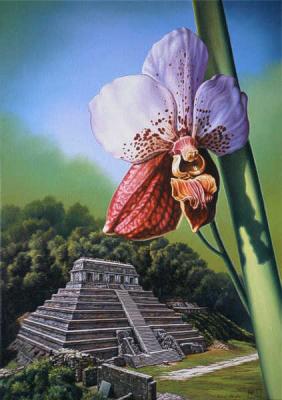 Palenque (2002) Roland Heyder - Roland Heyder - Array auf Array - Array - Palenque (2002) Roland Heyder - Roland Heyder - Array auf Array - Array -