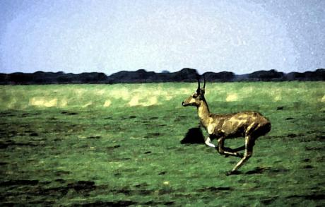 Flucht - Timm-H. Wemper - auf - Array - Flucht - Timm-H. Wemper - auf - Array -