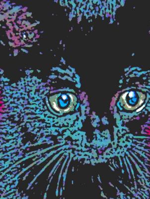 Katzenkind - Timm-H. Wemper - auf - Array - Katzenkind - Timm-H. Wemper - auf - Array -