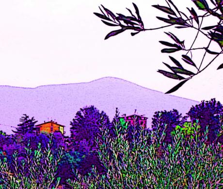 Pastellstimmung - Timm-H. Wemper - auf - Array - Pastellstimmung - Timm-H. Wemper - auf - Array -