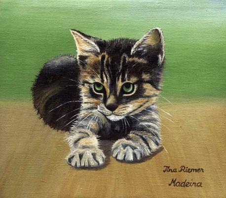 Katerchen (2002) -Tina Riemer- - Tina Riemer - auf Array - Array - Katerchen (2002) -Tina Riemer- - Tina Riemer - auf Array - Array -