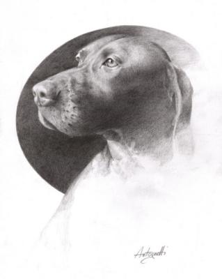 Margotte - di Lorenzo Antognetti - LORENZO ANTOGNETTI - Array auf - Array - Margotte - di Lorenzo Antognetti - LORENZO ANTOGNETTI - Array auf - Array -