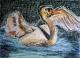 Vogel 1 Schwan - Peter Mach - auf - Tiere-Vögel - Vogel 1 Schwan - Peter Mach - auf - Tiere-Vögel -