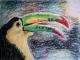 Vogel 2 Papageienvogel - Peter Mach - auf - Tiere-Vögel - Vogel 2 Papageienvogel - Peter Mach - auf - Tiere-Vögel -