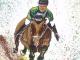 Rider I - Susanne Rade - Acryl auf Leinwand - Tiere - Rider I - Susanne Rade - Acryl auf Leinwand - Tiere -