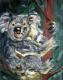 Koala - Peter Mach - Acryl auf Leinwand - Tiere - Klassisch Koala - Peter Mach - Acryl auf Leinwand - Tiere - Klassisch