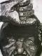 NM - Peter Mach - auf - Portrait - NM - Peter Mach - auf - Portrait -