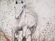 WHITE HORSE I - Susanne Rade - Acryl auf Leinwand - Tiere - Gegenständlich WHITE HORSE I - Susanne Rade - Acryl auf Leinwand - Tiere - Gegenständlich