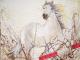 WHITE HORSE III - Susanne Rade - Acryl auf Leinwand - Tiere - Gegenständlich WHITE HORSE III - Susanne Rade - Acryl auf Leinwand - Tiere - Gegenständlich