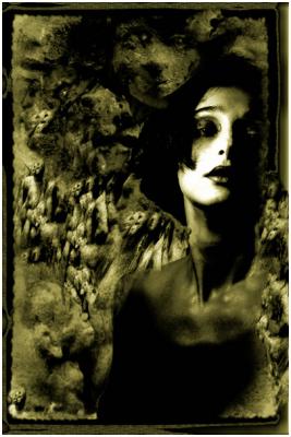 snowwhite (2002) Norbert Felzl - Norbert Felzl - auf - Array - snowwhite (2002) Norbert Felzl - Norbert Felzl - auf - Array -