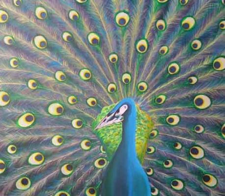 Schön stolz (2005) Dida (Diana Weisbender) - Dida - Array auf Array - Array - Schön stolz (2005) Dida (Diana Weisbender) - Dida - Array auf Array - Array -