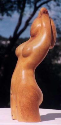 JACA - Horest de Menezes - Horest de Menezes - auf - Array - JACA - Horest de Menezes - Horest de Menezes - auf - Array -