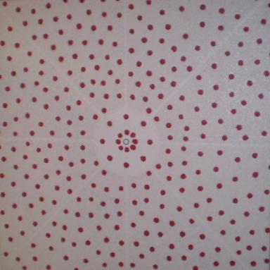 Sam Juparulla - JA015-08 - Urban Dingo Gallery - Array auf Array - Array - Sam Juparulla - JA015-08 - Urban Dingo Gallery - Array auf Array - Array -