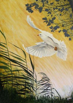 Schönheit in Weiss 8 - Seur Robin - Array auf Array - Array - Array Schönheit in Weiss 8 - Seur Robin - Array auf Array - Array - Array