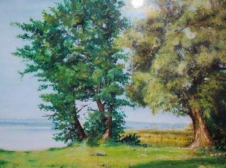 am TollenseSee (2005) - Schiller - auf Array - Array - am TollenseSee (2005) - Schiller - auf Array - Array -