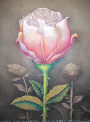 Drei Rosen (2003) - Artur Marta - Array auf Array - Array - Drei Rosen (2003) - Artur Marta - Array auf Array - Array -