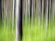 Wood Painting - Walter J. Pilsak - - auf - Abstrakt-Bäume-Wald - Wood Painting - Walter J. Pilsak - - auf - Abstrakt-Bäume-Wald -