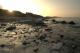 Sonnenuntergang am Ostseestrand - Max Nemo Mertens - auf - Himmel-Eis-Meer - Sonnenuntergang am Ostseestrand - Max Nemo Mertens - auf - Himmel-Eis-Meer -