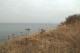 Blick von der Klippe - Max Nemo Mertens - auf - Küste-Himmel-Meer - Blick von der Klippe - Max Nemo Mertens - auf - Küste-Himmel-Meer -