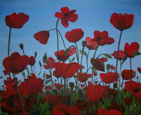 Mohn - Knut Stein - Array auf Array - Array - Array Mohn - Knut Stein - Array auf Array - Array - Array