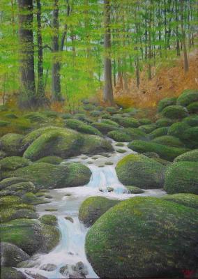 Waldbach - Knut Stein - Array auf Array - Array - Array Waldbach - Knut Stein - Array auf Array - Array - Array