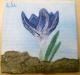 -ein kleines kunstwerk-krokus blau - c. lemke - auf - Blumen-Stillleben - -ein kleines kunstwerk-krokus blau - c. lemke - auf - Blumen-Stillleben -
