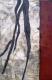 ohne Titel - Gabriele Nassner - Acryl auf Leinwand - Abstrakt - Abstrakt ohne Titel - Gabriele Nassner - Acryl auf Leinwand - Abstrakt - Abstrakt