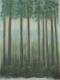 Tannenwald - Robert Schiff - Tempera auf Papier - Wald - Impressionismus Tannenwald - Robert Schiff - Tempera auf Papier - Wald - Impressionismus