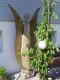-ENGEL- - Klaus Rist - Holz-Stein auf - Natur-Sonstiges - -ENGEL- - Klaus Rist - Holz-Stein auf - Natur-Sonstiges -