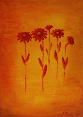 Sommerblumen - Paul Rothe - Array auf Array - Array - Sommerblumen - Paul Rothe - Array auf Array - Array -