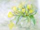 Tulpen - Annegret Bodemer - Aquarell auf Papier - Blumen - Klassisch Tulpen - Annegret Bodemer - Aquarell auf Papier - Blumen - Klassisch