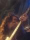 ritchie kelly - Peter Mach - auf - Männer-Sonstiges - ritchie kelly - Peter Mach - auf - Männer-Sonstiges -