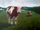 Neugierig!!! - Daniel Wimmer - Acryl auf Leinwand - Landwirtschaft-Kühe-Himmel-Wiese-Frühling-Morgen - Impressionismus-Realismus Neugierig!!! - Daniel Wimmer - Acryl auf Leinwand - Landwirtschaft-Kühe-Himmel-Wiese-Frühling-Morgen - Impressionismus-Realismus