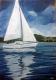 Segeln am Obertrumer See - Daniel Wimmer - Acryl auf Leinwand - Himmel-See-Wald-Wiese-Wolken-Sehnsucht-Sommer-Morgen - Impressionismus-Realismus Segeln am Obertrumer See - Daniel Wimmer - Acryl auf Leinwand - Himmel-See-Wald-Wiese-Wolken-Sehnsucht-Sommer-Morgen - Impressionismus-Realismus