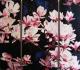 Magnolie! - Sabine Mentzel - Ãl auf Leinwand - Blumen - Fotorealismus-Naturalismus Magnolie! - Sabine Mentzel - Ãl auf Leinwand - Blumen - Fotorealismus-Naturalismus
