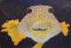 GF091102_Ein Lächeln verbindet - Brunon Art - Acryl auf Karton - Fische - Naturalismus GF091102_Ein Lächeln verbindet - Brunon Art - Acryl auf Karton - Fische - Naturalismus