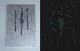 Anatomy - Sandra Altmann - -Acryl-Sonstiges auf - Abstrakt-Fantastisch-Sonstiges-Gefühle - Abstrakt Anatomy - Sandra Altmann - -Acryl-Sonstiges auf - Abstrakt-Fantastisch-Sonstiges-Gefühle - Abstrakt
