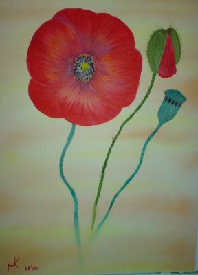 ---Blume - Mario Kirchner - Array auf Array - Array - Array ---Blume - Mario Kirchner - Array auf Array - Array - Array