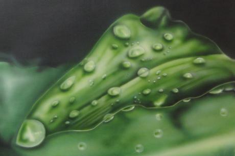 Morgentau - André Kluge -ART - Array auf Array - Array - Array Morgentau - André Kluge -ART - Array auf Array - Array - Array