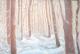 lichter Winterwald - Dagmar Kielau - Acryl-Tempera auf - - lichter Winterwald - Dagmar Kielau - Acryl-Tempera auf - -