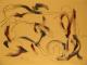 (3) DEIN TITEL: - Jürgen Tobegen - Acryl auf - - (3) DEIN TITEL: - Jürgen Tobegen - Acryl auf - -