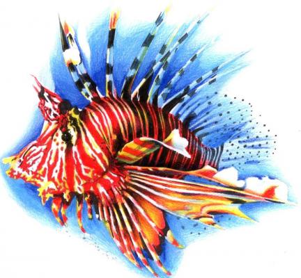 lionfish - Torsten Matthes - Array auf Array - Array - Array lionfish - Torsten Matthes - Array auf Array - Array - Array